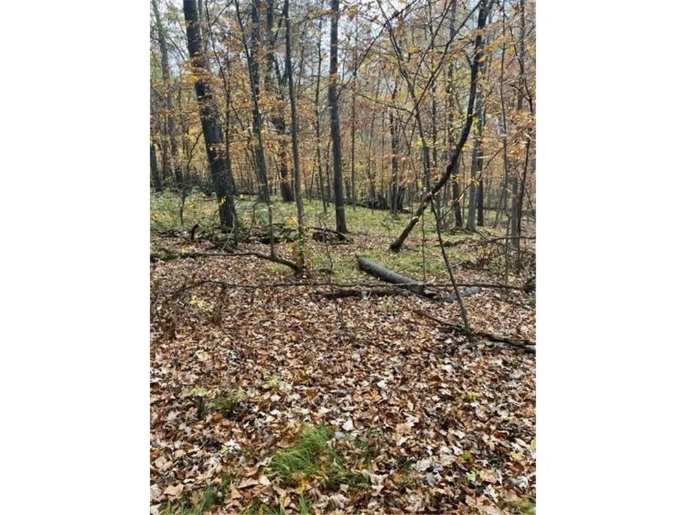 Lot 3 Tiger Street NW Zimmerman, MN 55398