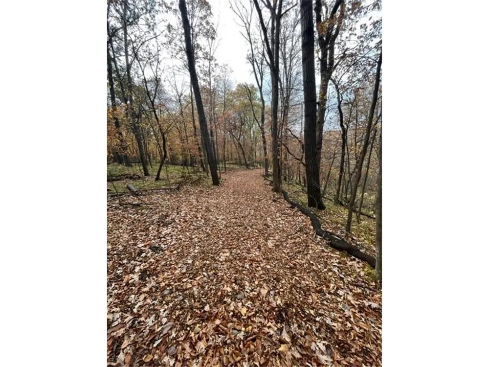 Lot 3 Tiger Street NW Zimmerman, MN 55398