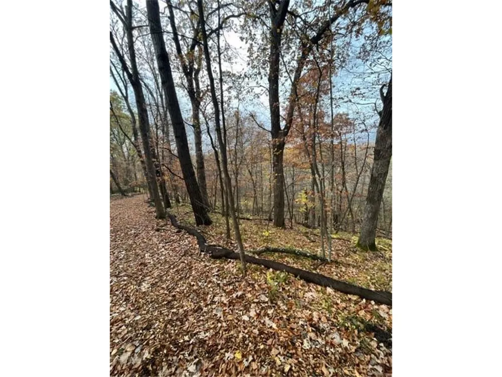 Lot 3 Tiger Street NW Zimmerman, MN 55398