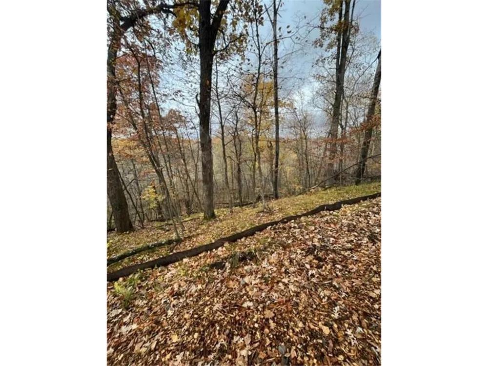 Lot 3 Tiger Street NW Zimmerman, MN 55398