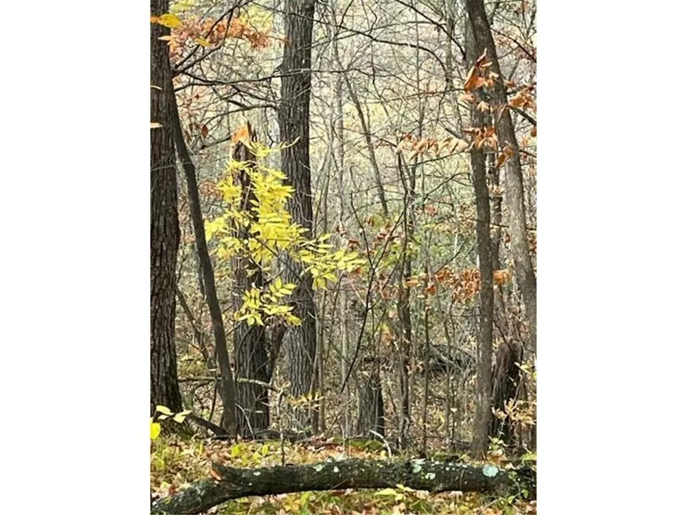 Lot 3 Tiger Street NW Zimmerman, MN 55398