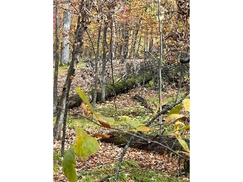 Lot 3 Tiger Street NW Zimmerman, MN 55398