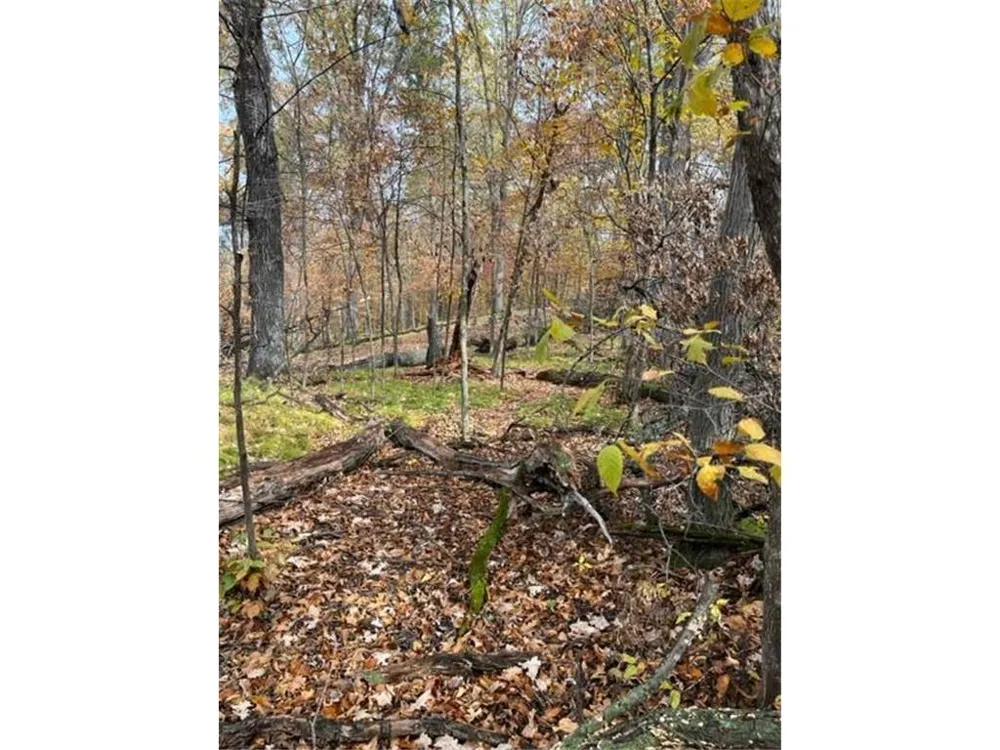 Lot 3 Tiger Street NW Zimmerman, MN 55398