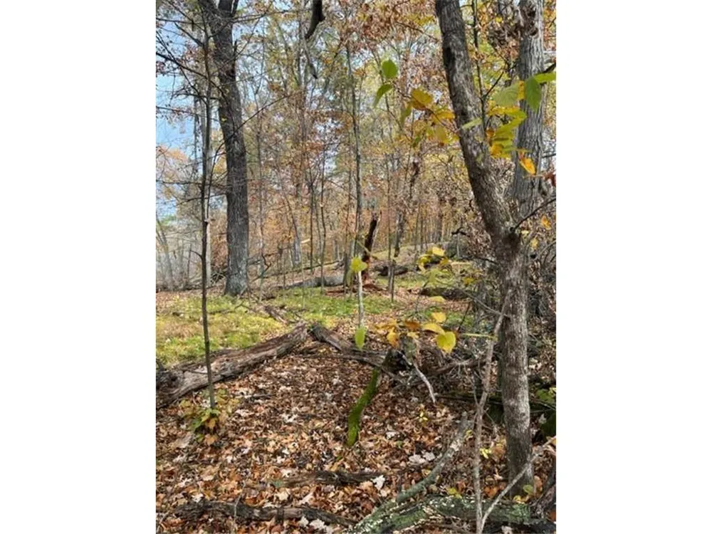 Lot 3 Tiger Street NW Zimmerman, MN 55398