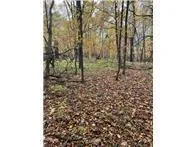 Lot 3 Tiger Street NW Zimmerman, MN 55398