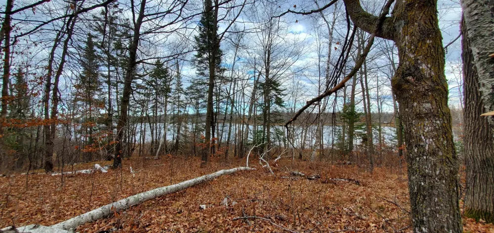 TBD - Parcel B Ticonderoga Trail Hackensack, MN 56452