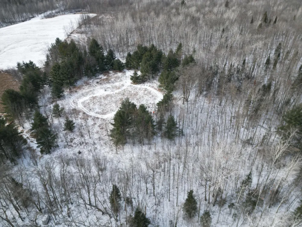 TBD - Parcel A Ticonderoga Trail Hackensack, MN 56452