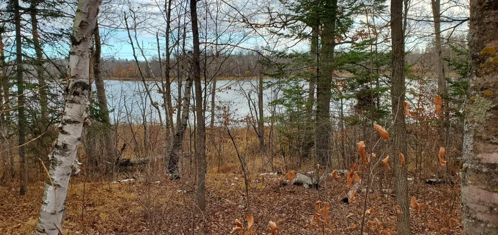 TBD - Parcel A Ticonderoga Trail Hackensack, MN 56452