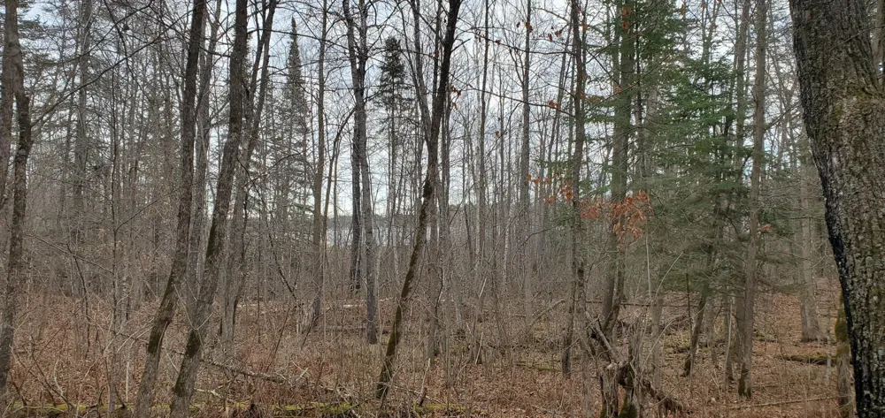 TBD - Parcel A Ticonderoga Trail Hackensack, MN 56452