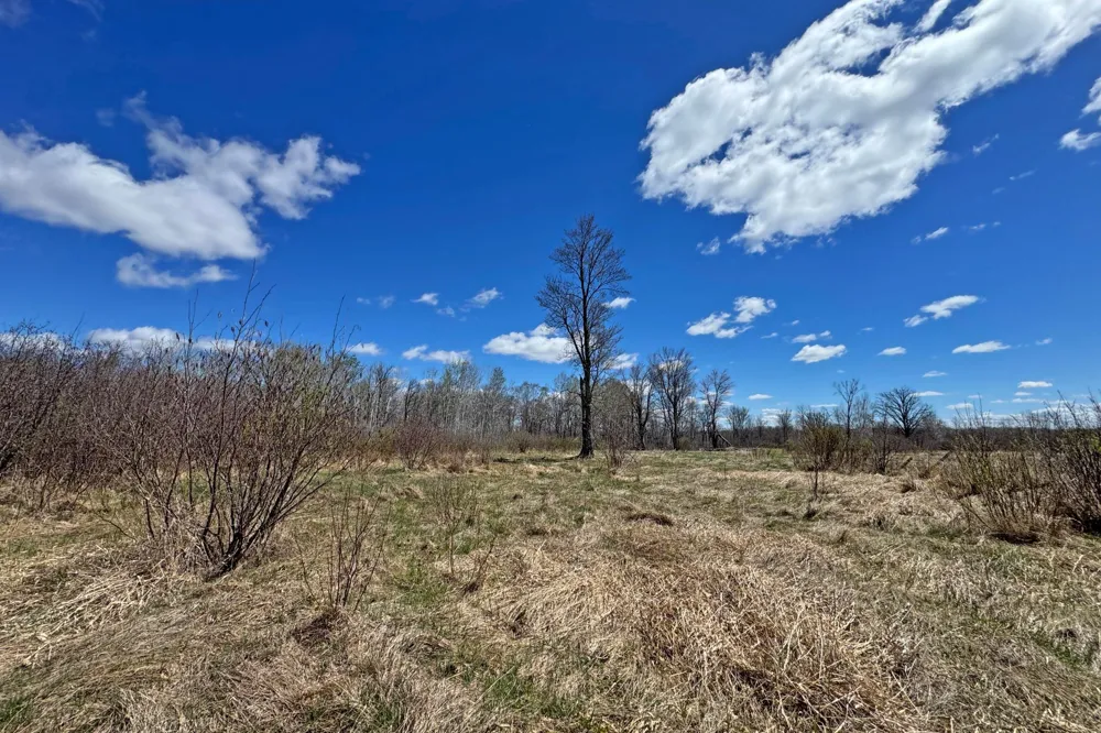 0000 Fairview Road Kettle River, MN 55757