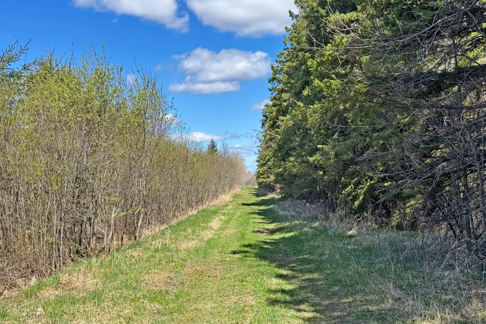 0000 Fairview Road Kettle River, MN 55757