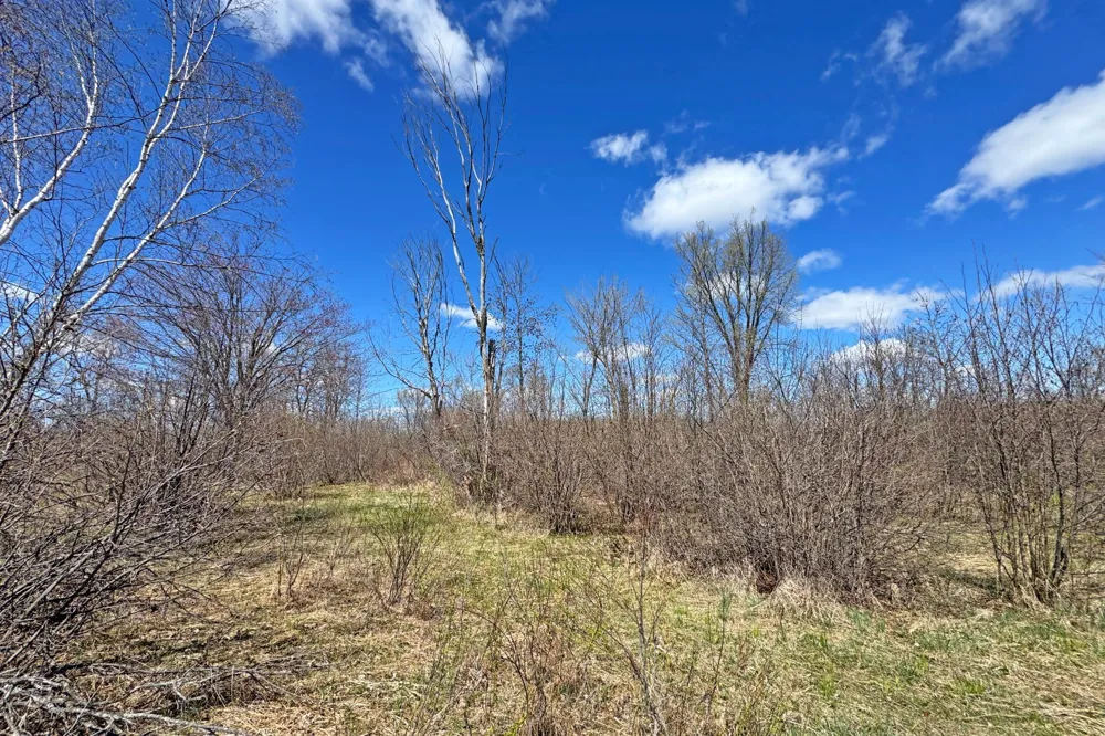 0000 Fairview Road Kettle River, MN 55757