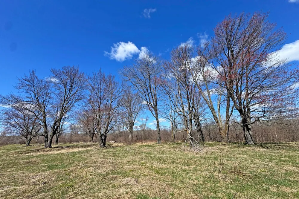 0000 Fairview Road Kettle River, MN 55757