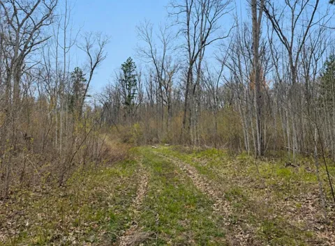TBD Foss Lane