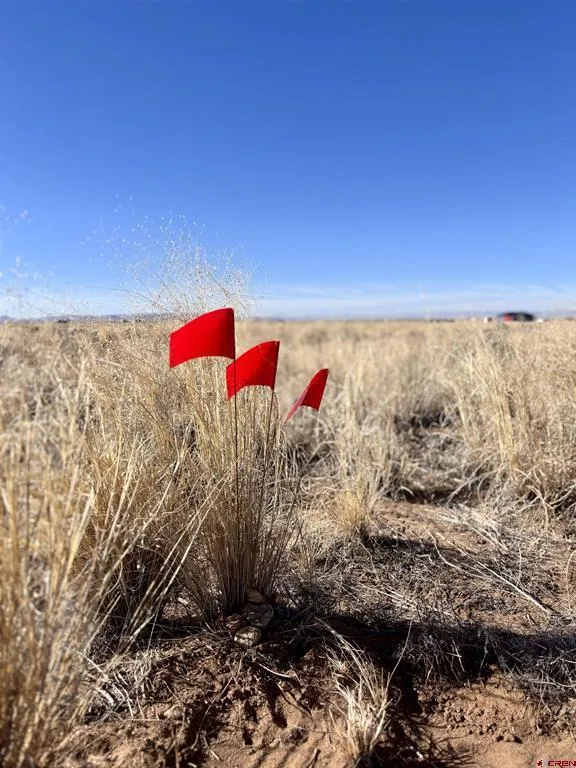 Lot 4 13th Street Blanca, CO 81123