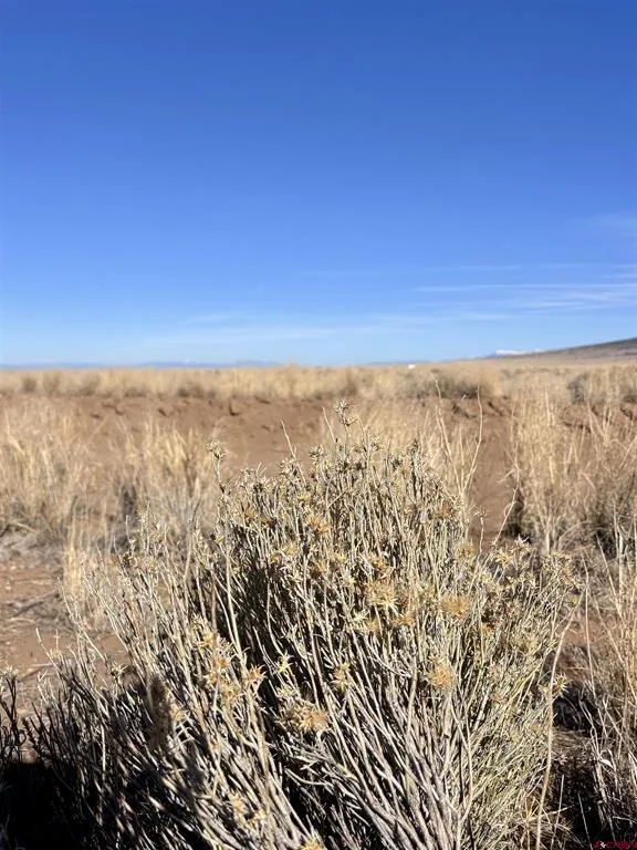Lot 4 13th Street Blanca, CO 81123