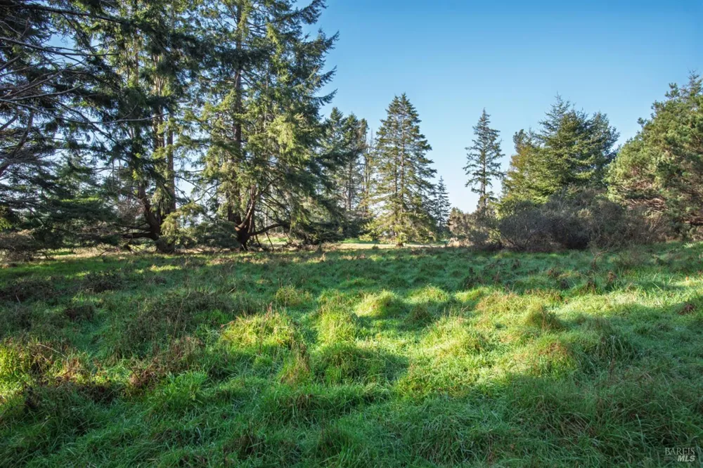 36231 Timber Ridge Road The Sea Ranch, CA 95497