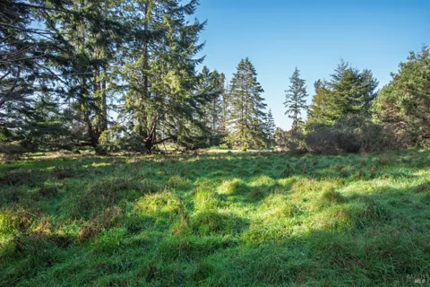 36231 Timber Ridge Road