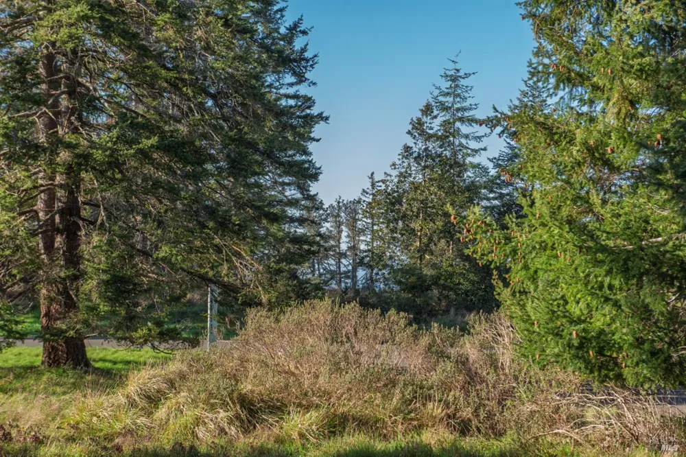 36231 Timber Ridge Road The Sea Ranch, CA 95497