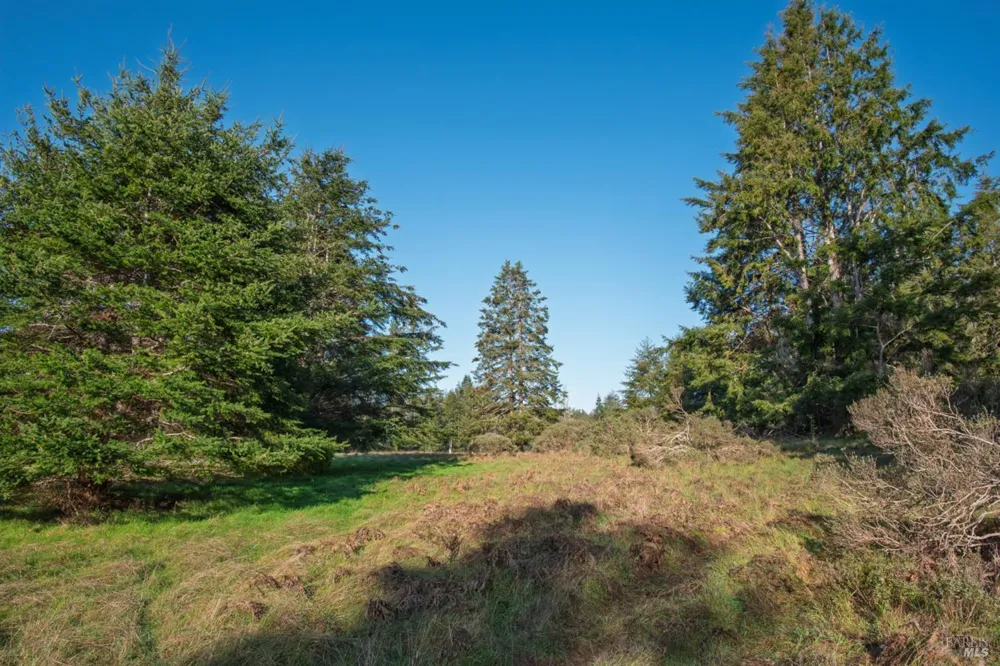 36231 Timber Ridge Road The Sea Ranch, CA 95497