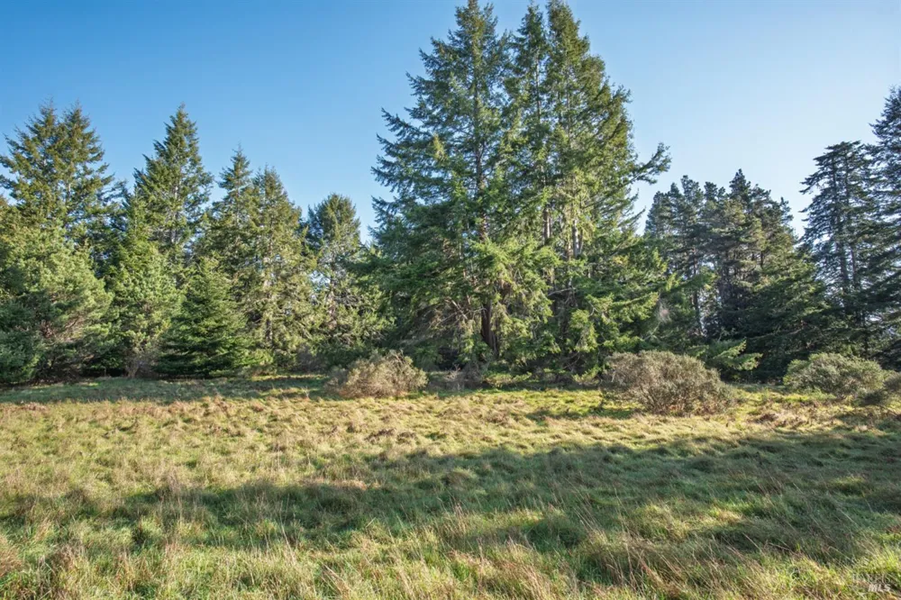 36231 Timber Ridge Road The Sea Ranch, CA 95497