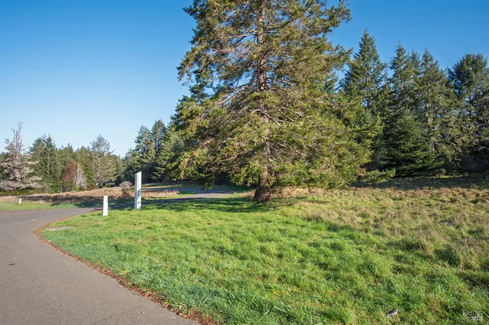 36231 Timber Ridge Road The Sea Ranch, CA 95497