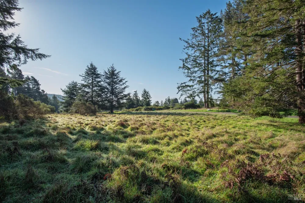 36231 Timber Ridge Road The Sea Ranch, CA 95497