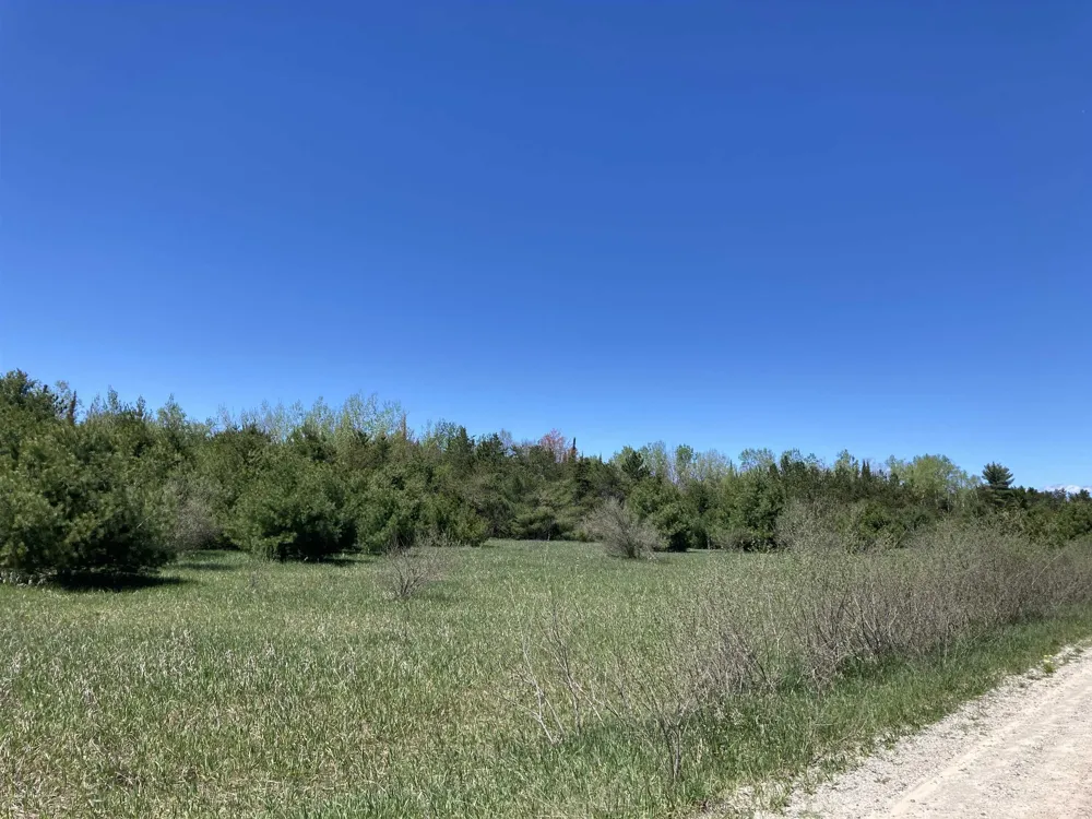 W Miller Road Elmer Township, MI 49647
