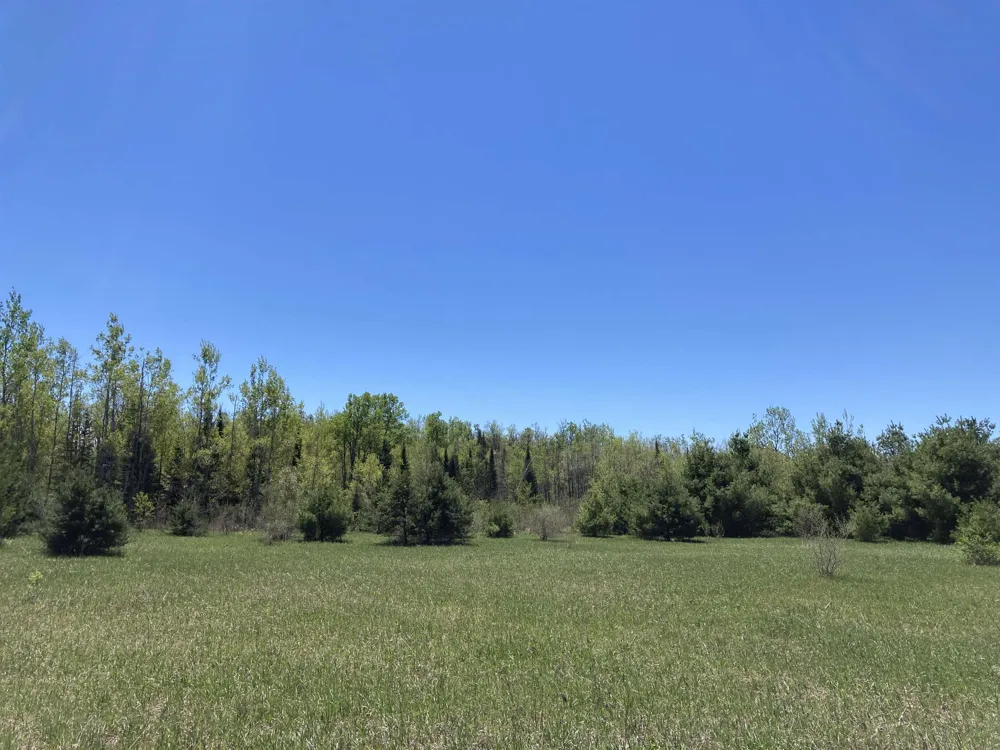 W Miller Road Elmer Township, MI 49647