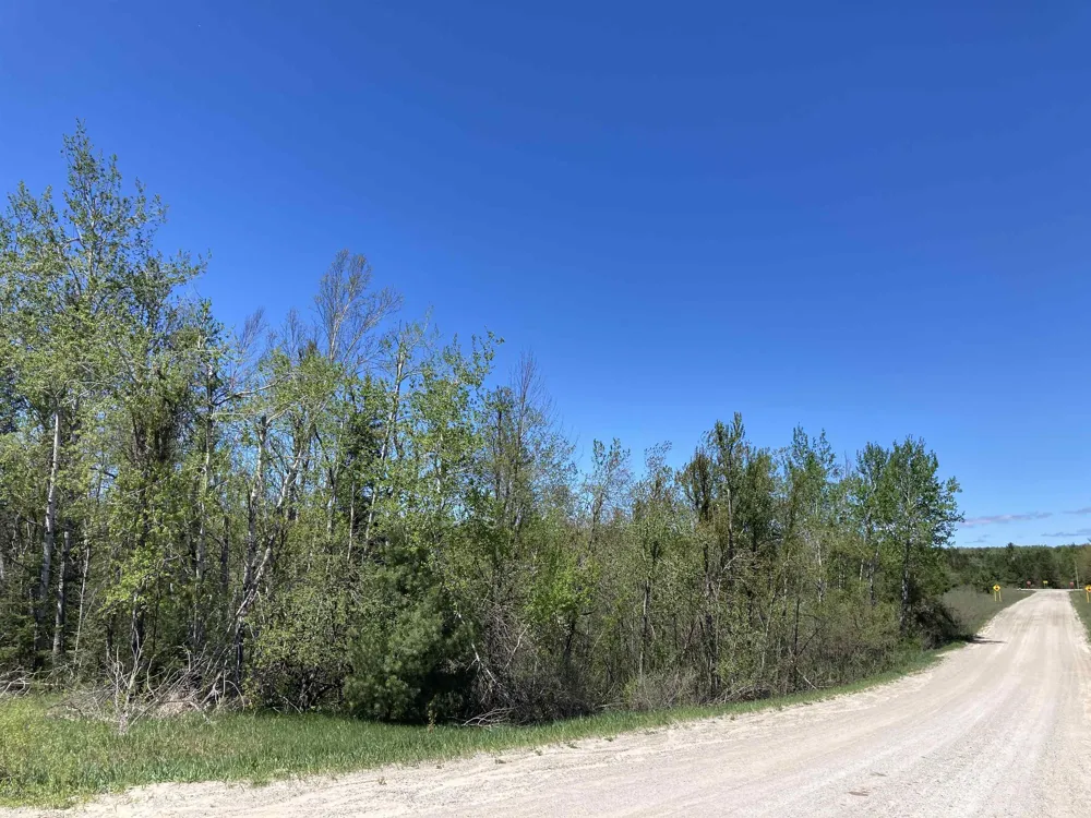 W Miller Road Elmer Township, MI 49647