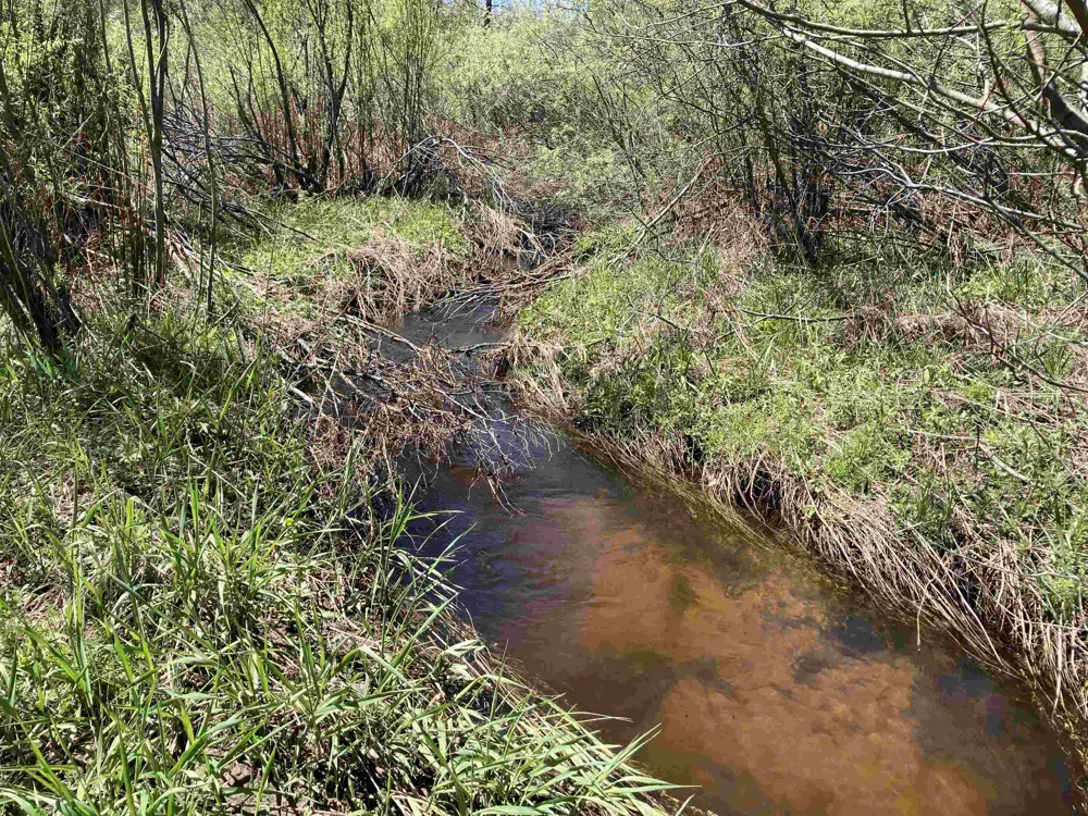 W Miller Road Elmer Township, MI 49647