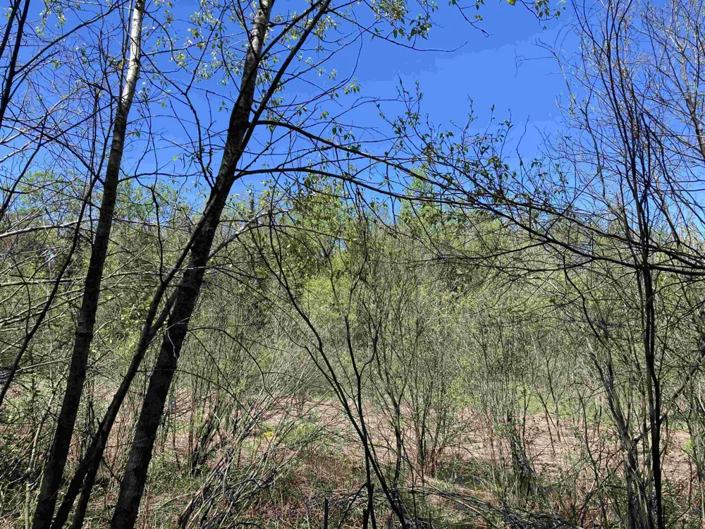 W Miller Road Elmer Township, MI 49647