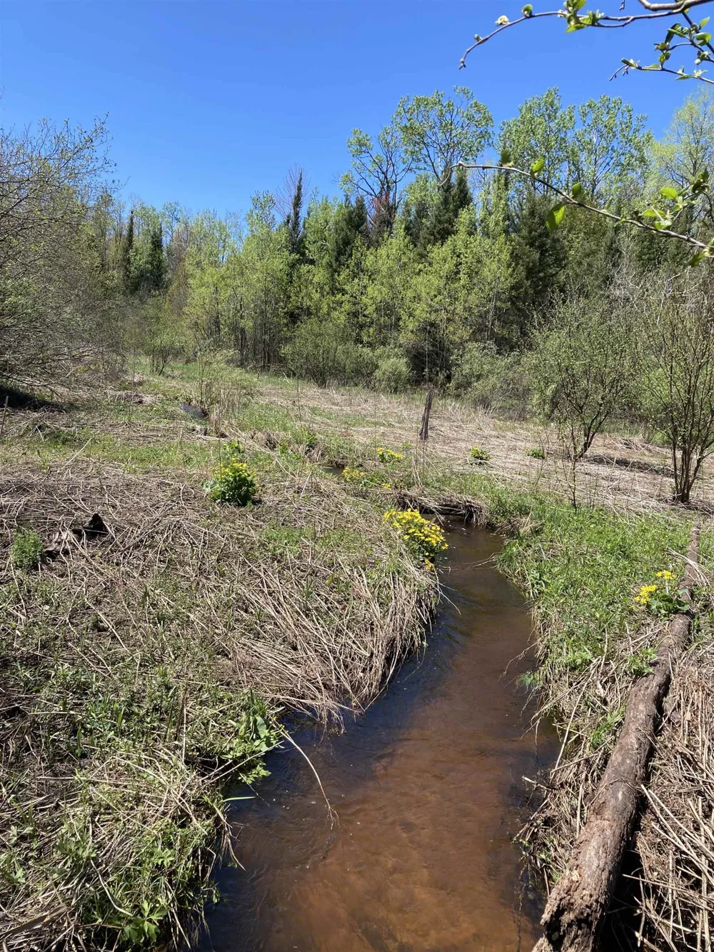W Miller Road Elmer Township, MI 49647