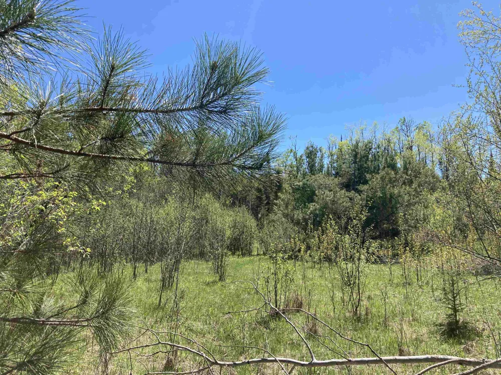 W Miller Road Elmer Township, MI 49647
