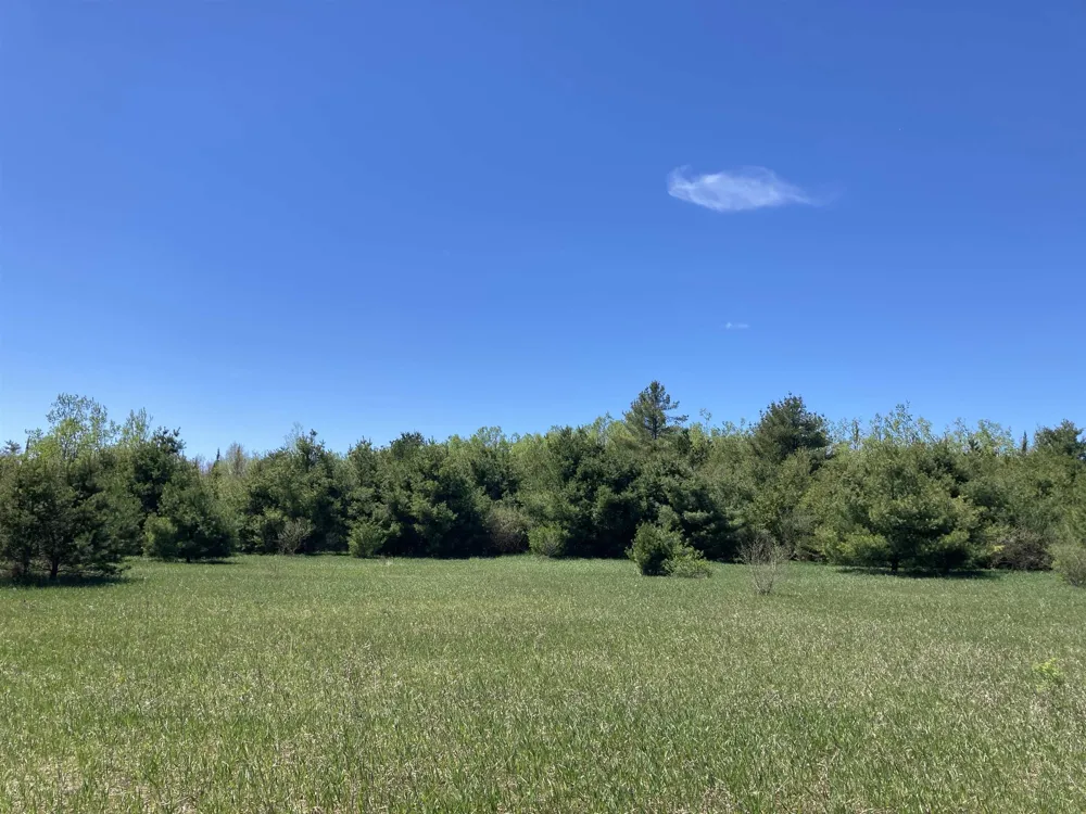W Miller Road Elmer Township, MI 49647