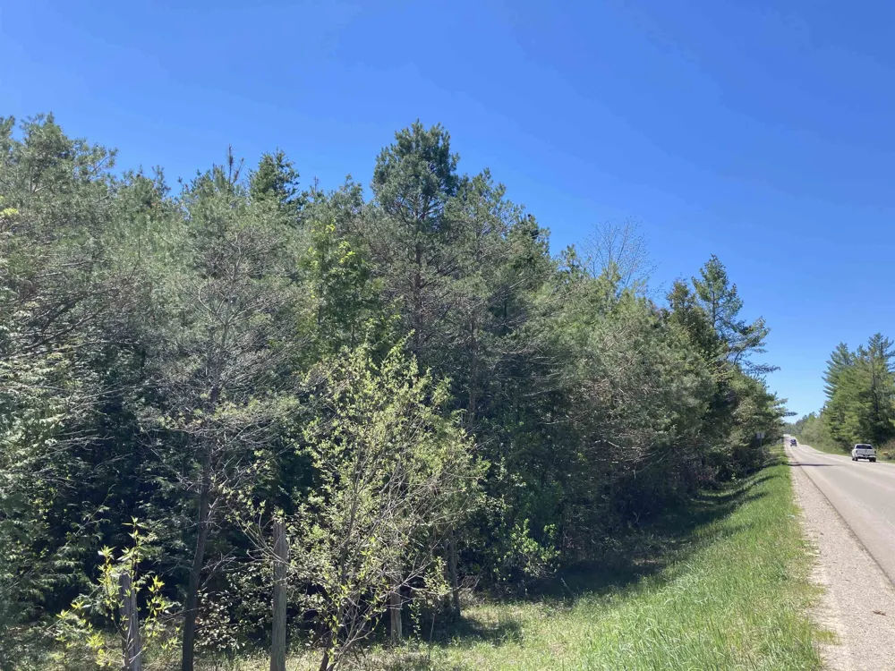 W Miller Road Elmer Township, MI 49647