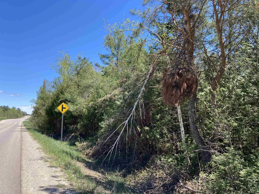 W Miller Road Elmer Township, MI 49647