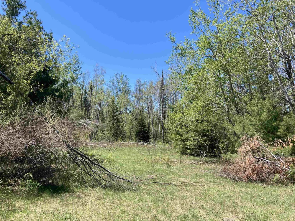 W Miller Road Elmer Township, MI 49647
