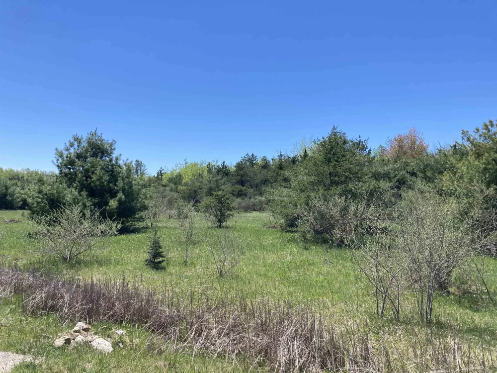 W Miller Road Elmer Township, MI 49647
