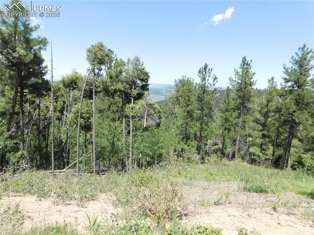 13670 Spruce Creek Circle Larkspur, CO 80118