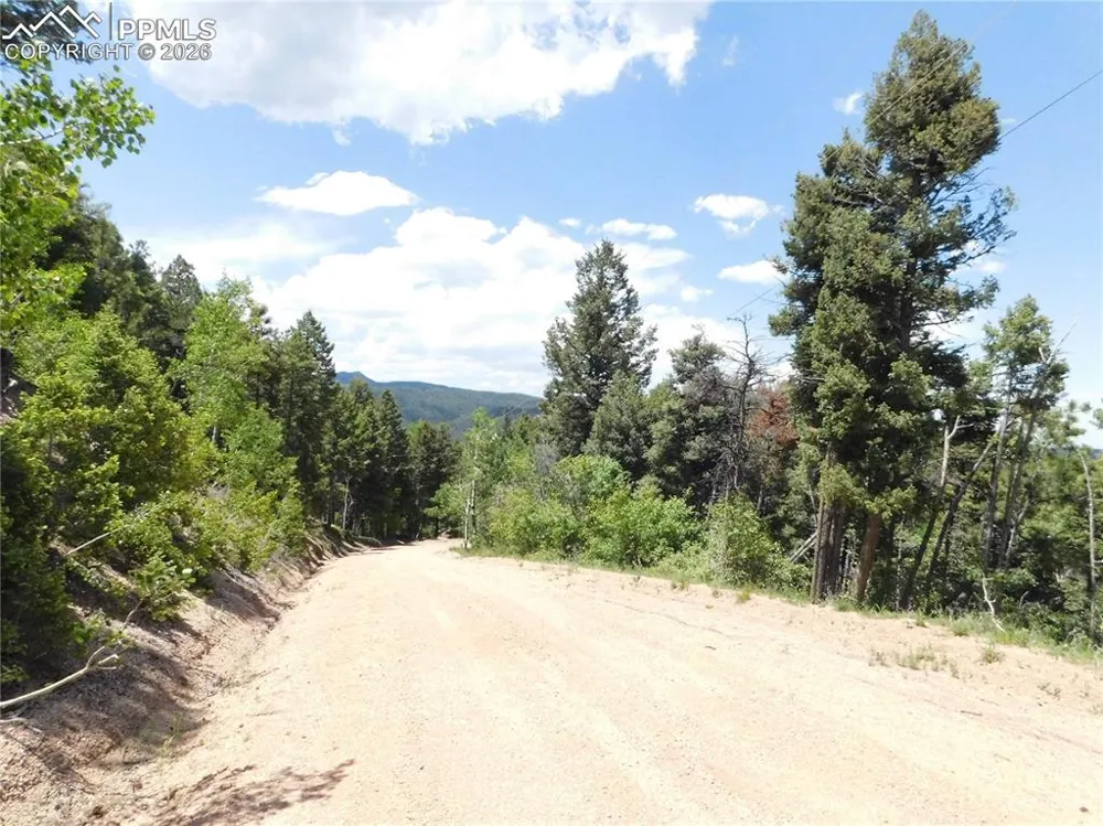 13670 Spruce Creek Circle Larkspur, CO 80118