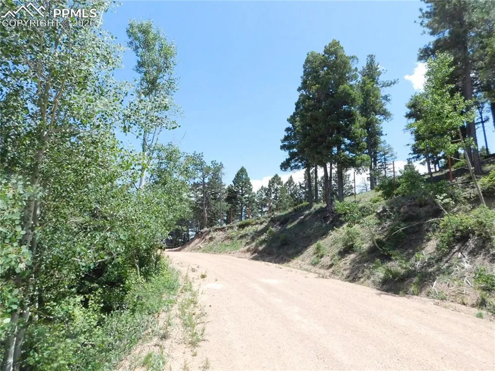 13670 Spruce Creek Circle Larkspur, CO 80118