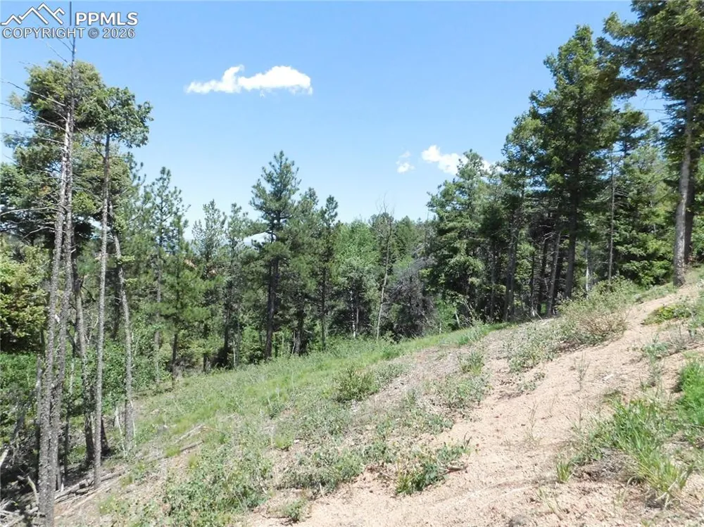 13670 Spruce Creek Circle Larkspur, CO 80118
