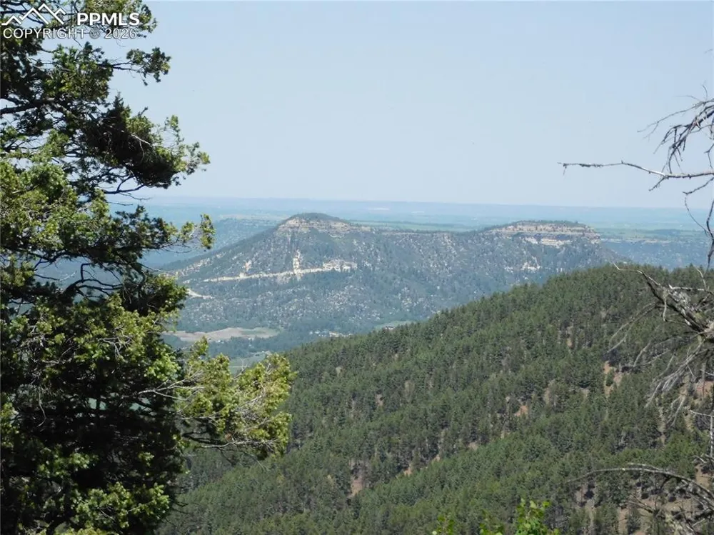 13670 Spruce Creek Circle Larkspur, CO 80118