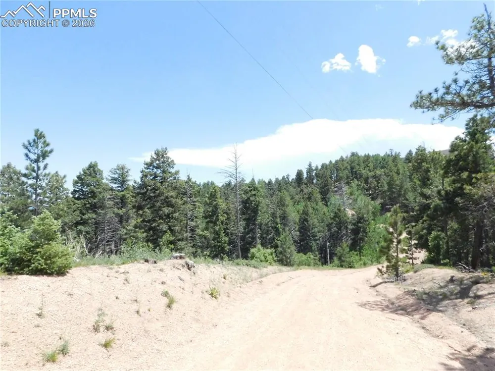 13670 Spruce Creek Circle Larkspur, CO 80118