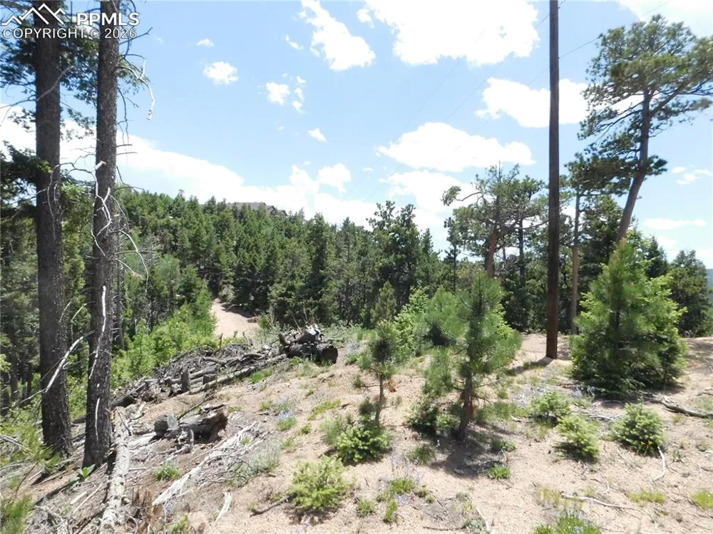 13670 Spruce Creek Circle Larkspur, CO 80118