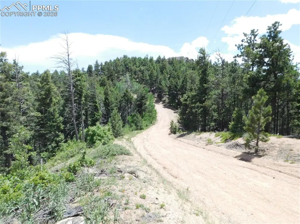 13670 Spruce Creek Circle Larkspur, CO 80118