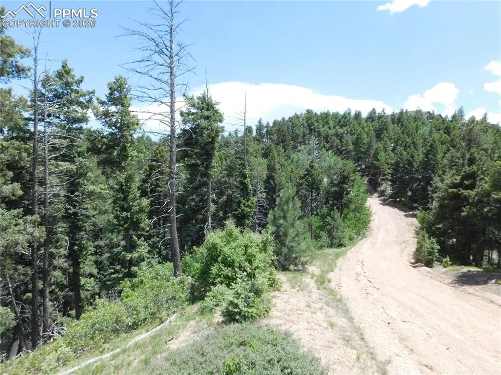 13670 Spruce Creek Circle Larkspur, CO 80118