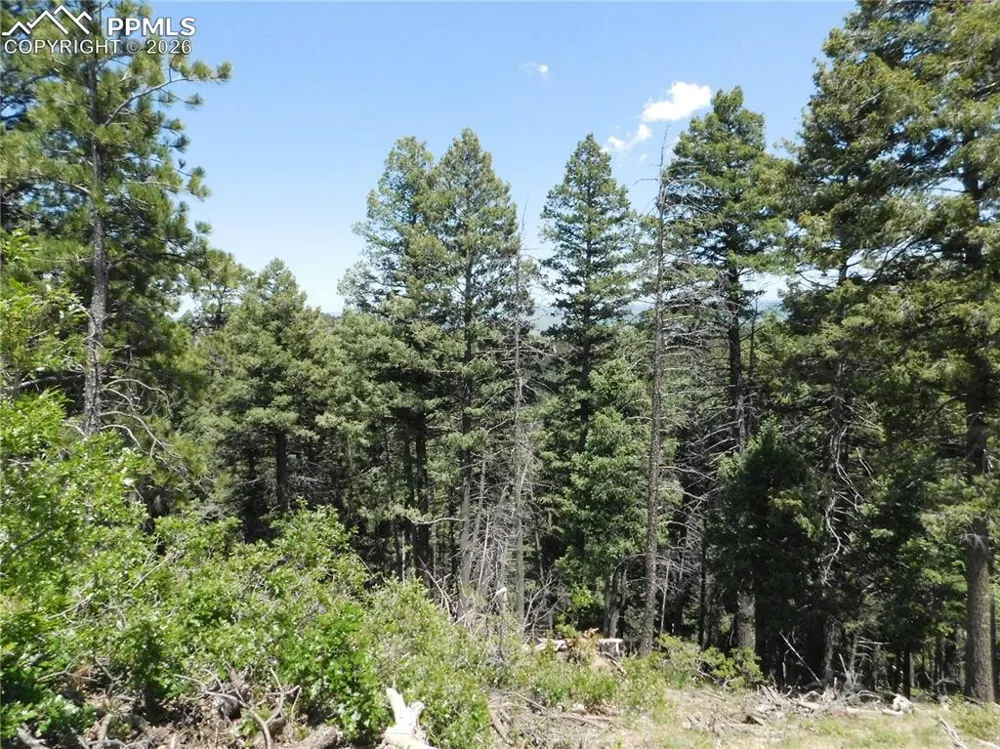 13670 Spruce Creek Circle Larkspur, CO 80118