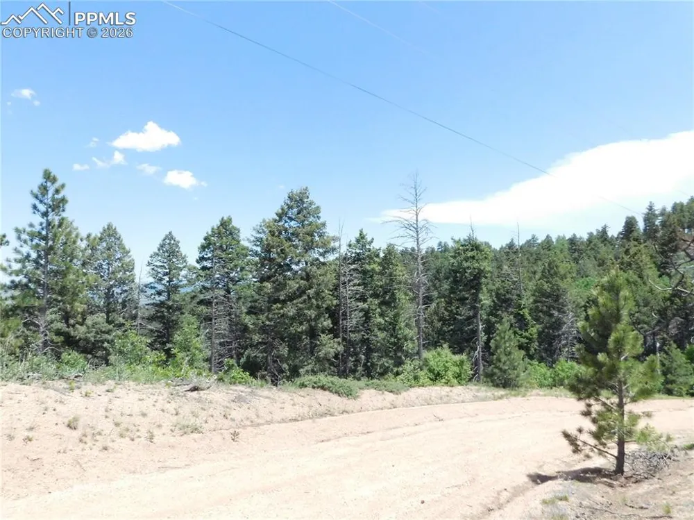 13670 Spruce Creek Circle Larkspur, CO 80118